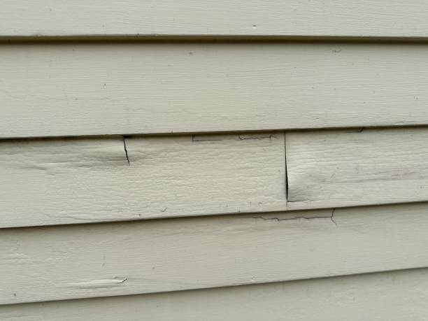 Best Siding for Commercial Buildings  in Minorca, LA